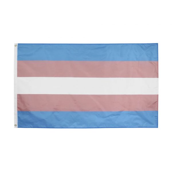 Large Trans Flag