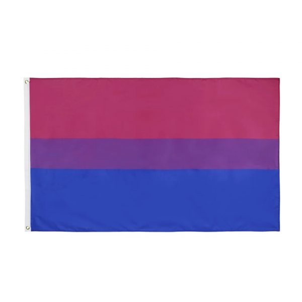 Large Bi Flag