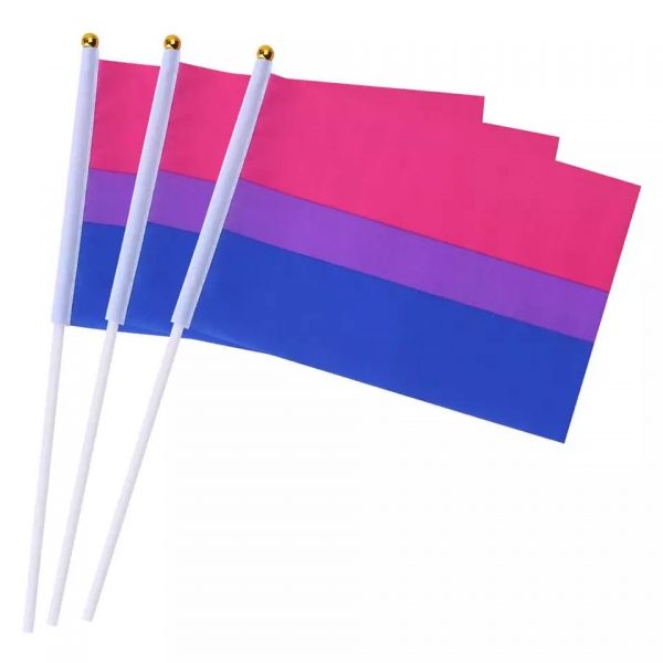 Small Bi Flag
