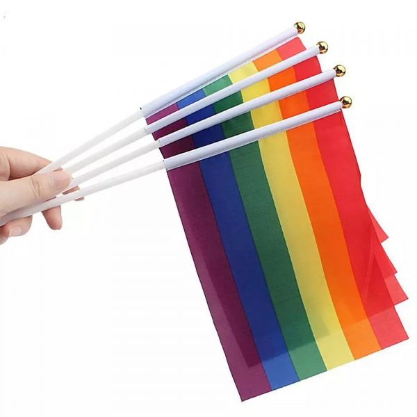 Small Pride Flag