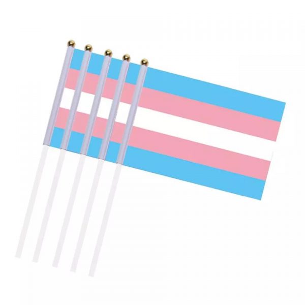 Small Trans Flag