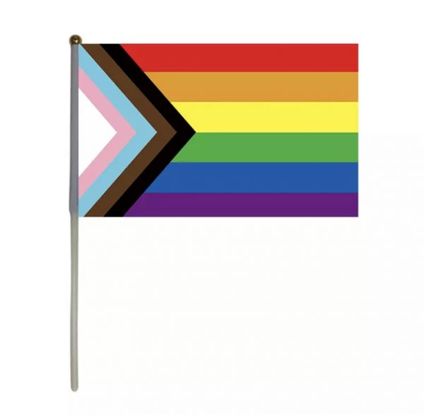 Small Progress Pride Flag