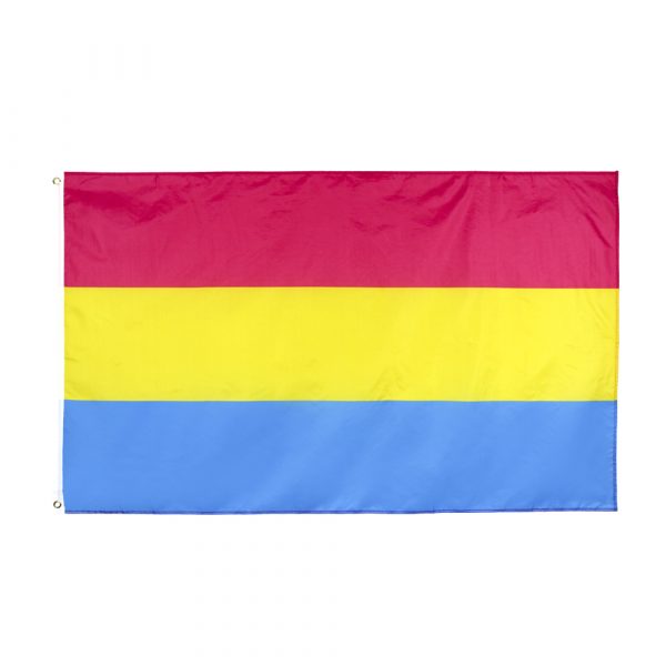 Large Pansexual Flag