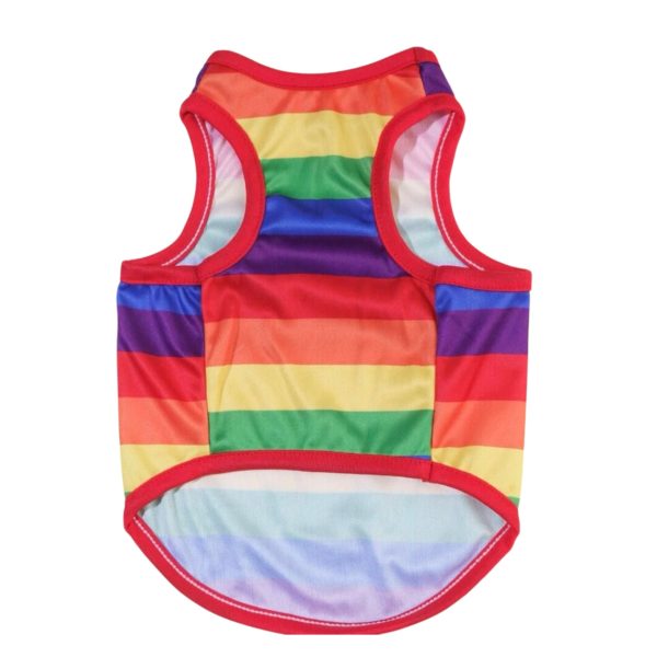 Rainbow Cat Jacket